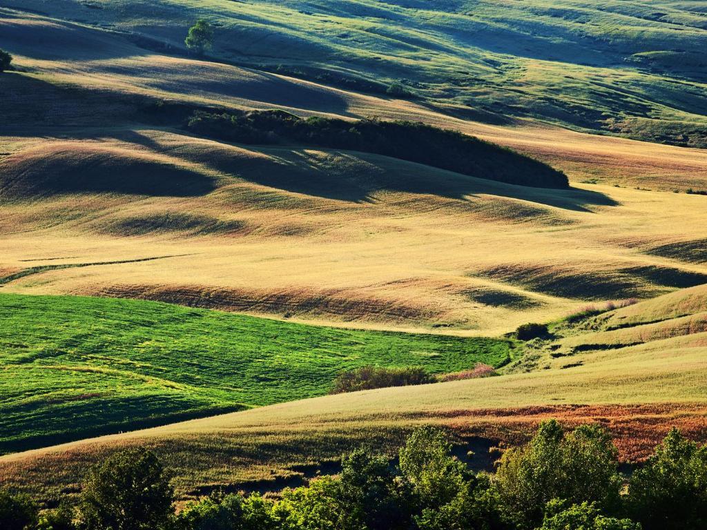 Agriturismo La Buca Di Bellugi Сан-Куїрико-д'Орча Екстер'єр фото